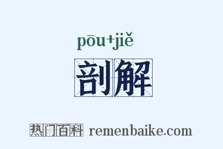 剖解是什么意思的图片